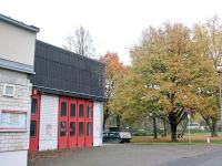Bäume fallen fürs Gerätehaus