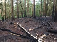 Deutsche Feuerwehren in Südeuropa