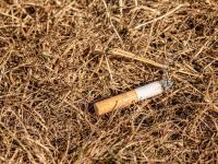 Waldbrandstufe 4: Vorsicht im Wald und auf Wiesen!