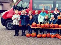 Gruselige Kreativität beim Kürbis-Schnitzen Gruselige Kreativität beim Kürbis-Schnitzen