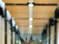 IF Star 2026: Öffentliche Versicherer und DFV zeichnen innovative Ideen der Feuerwehren aus IF Star 2026: Öffentliche Versicherer und DFV zeichnen innovative Ideen der Feuerwehren aus