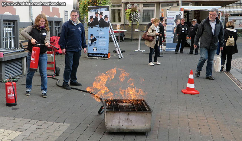 Aktionstag "Richtiges Heizen mit Holz"