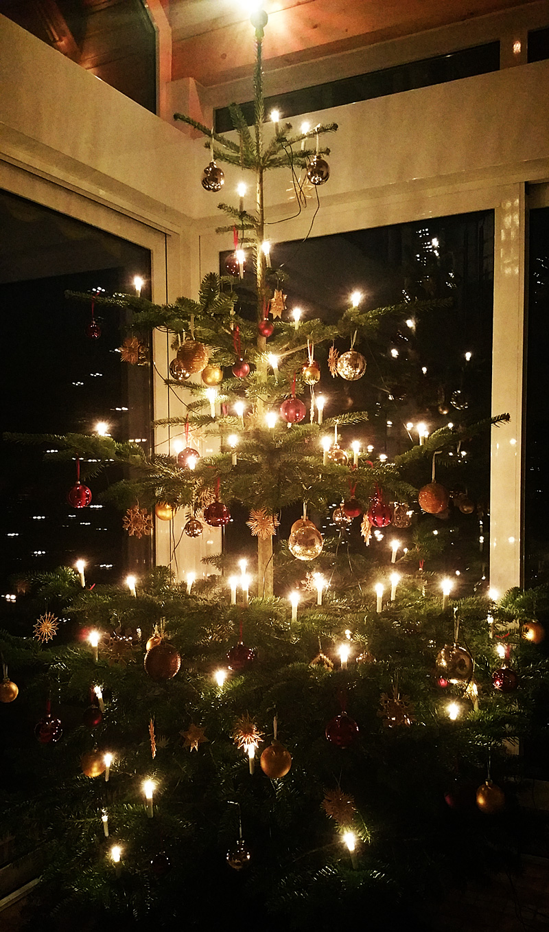 Weihnachtsbaum - (c) B. Rompel