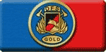 bandschnalle feuerwehrfitnessabzeichen gold